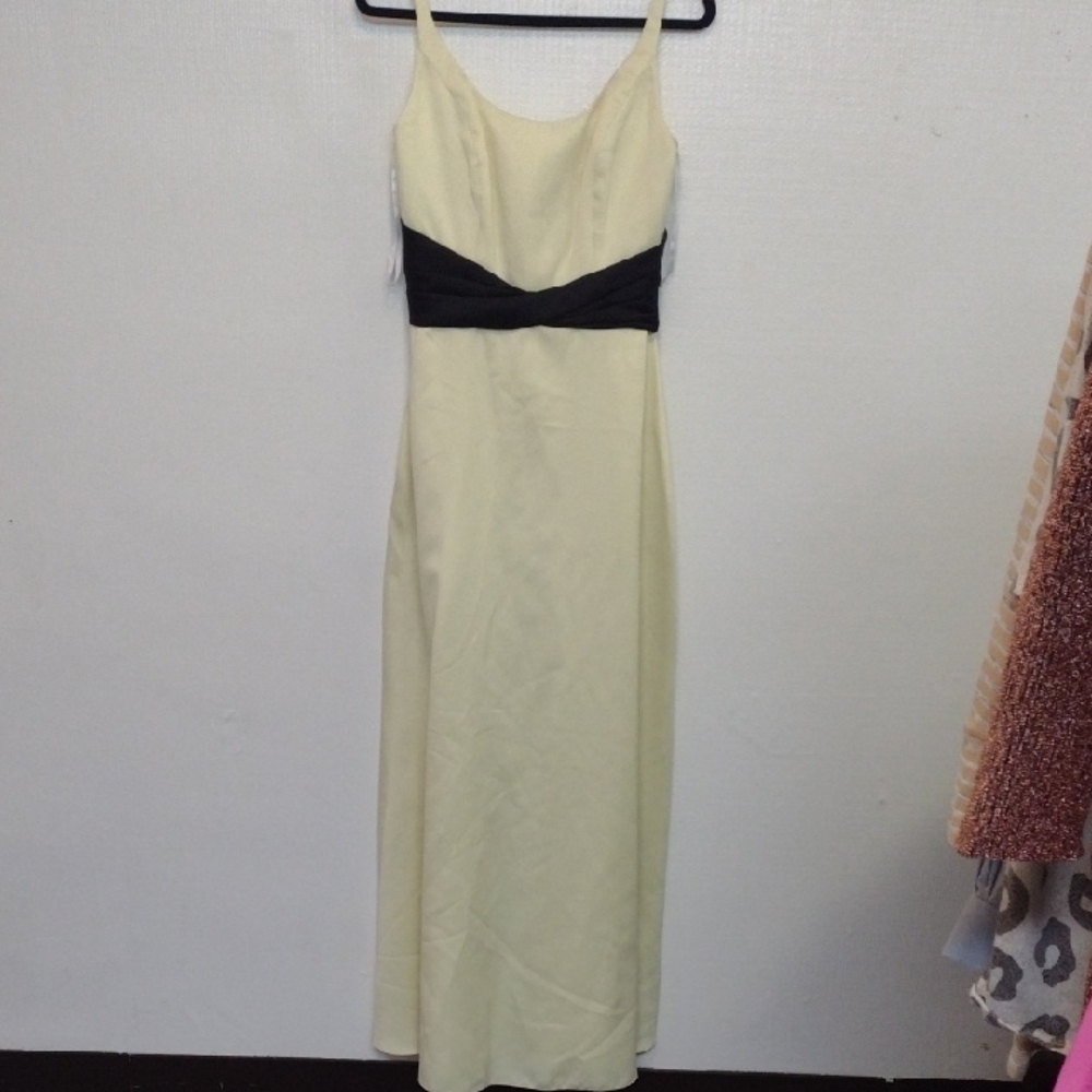 Elegant Cream and Black Dress